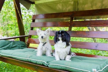 Poppelstrand Nuuksio, Pet Friendly Guest Apartment Bagian luar foto